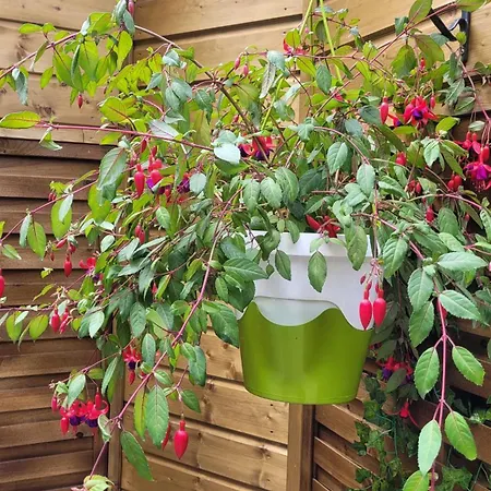 La Bulle Romantique Apartamento Calais